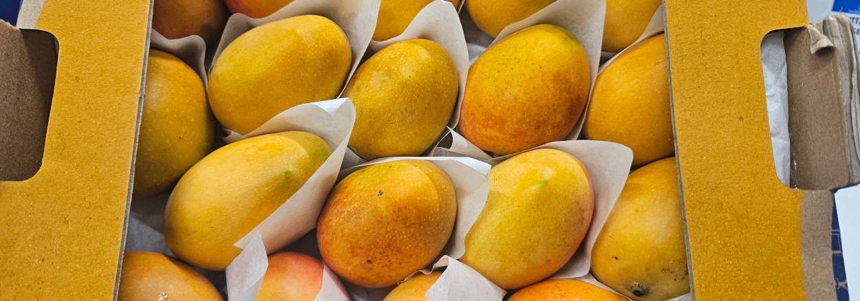 Baby Mangos