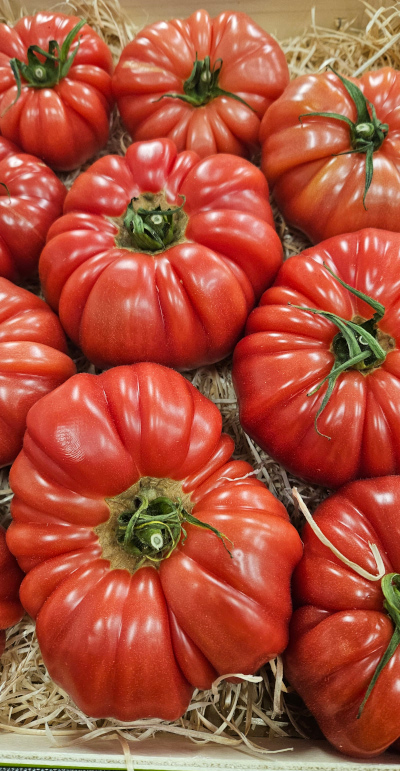 Seasonal Vegetables July