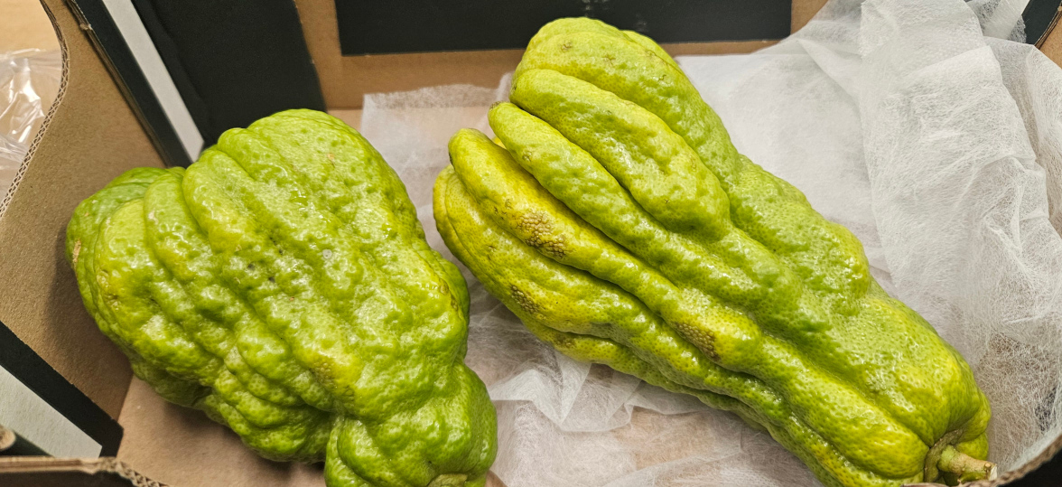 Bhudda Fingers