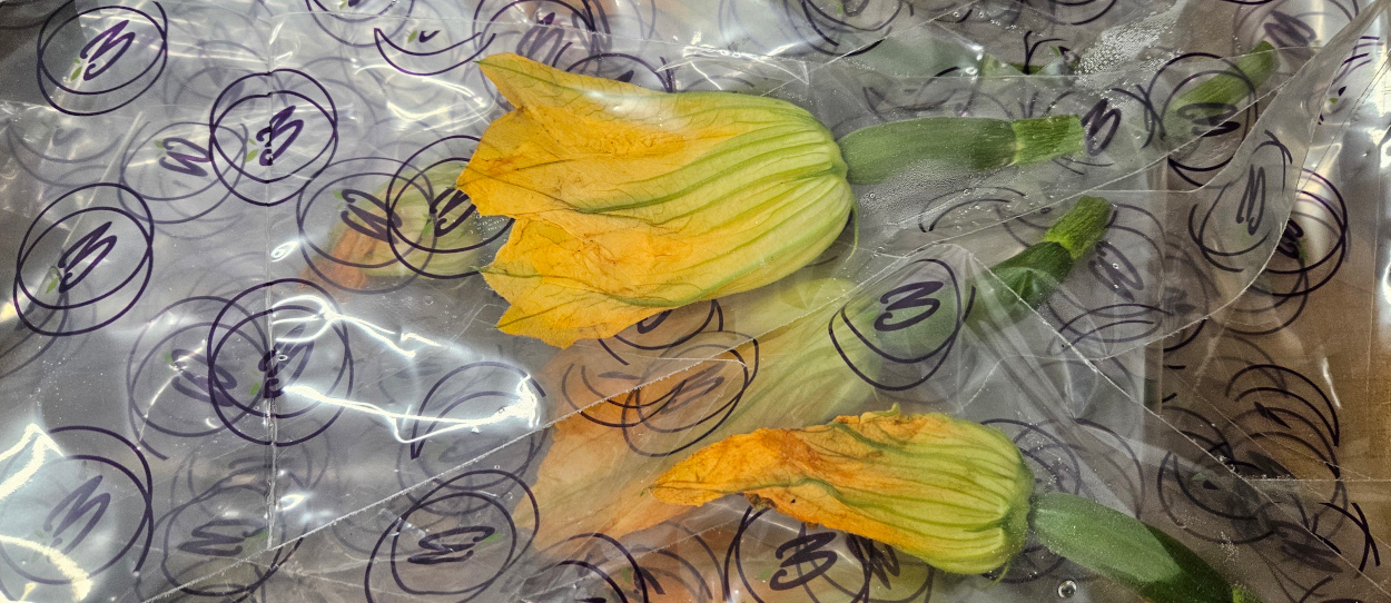 Courgette Flowers 3