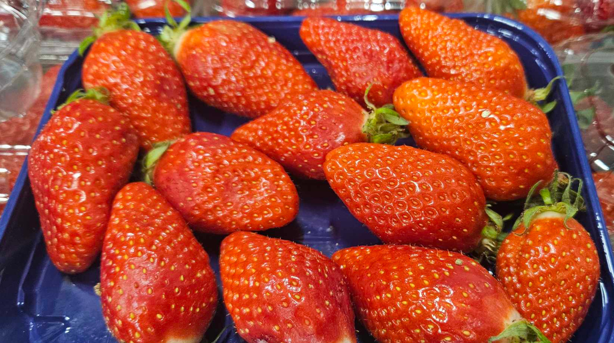 Gariguette Strawberries