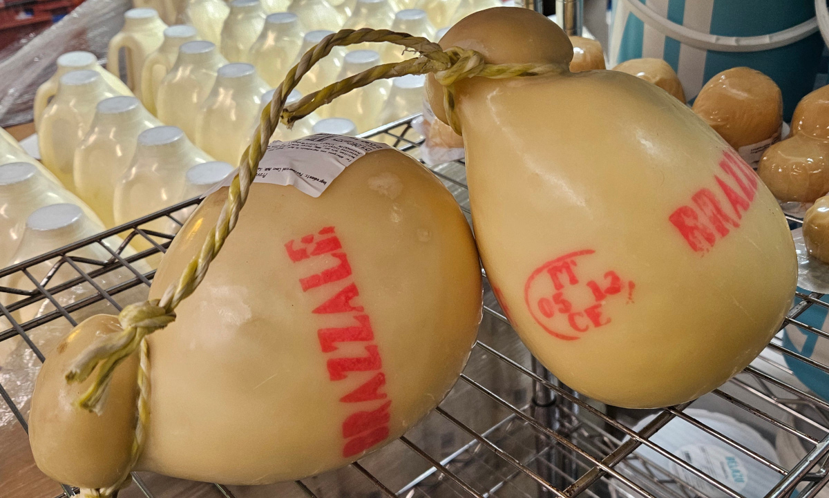 Provolone Cheese