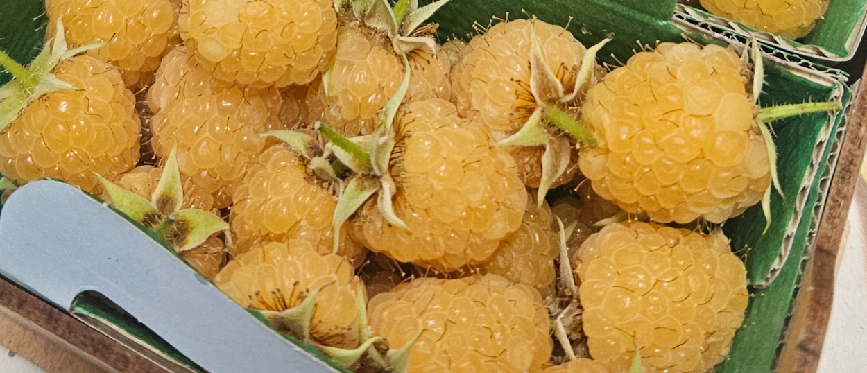Yellow Raspberries
