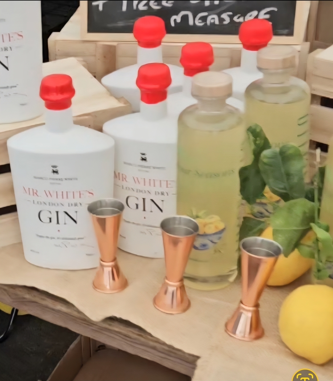 Limoncello and Gin