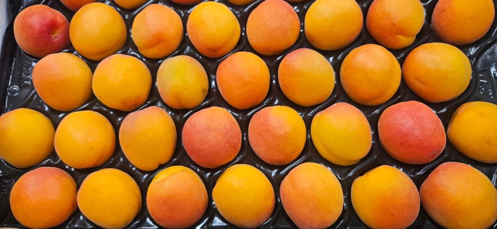 Spanish Stone Fruit