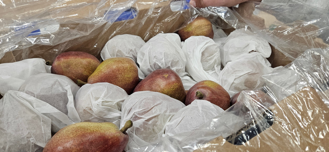 Argentinian Red Pears