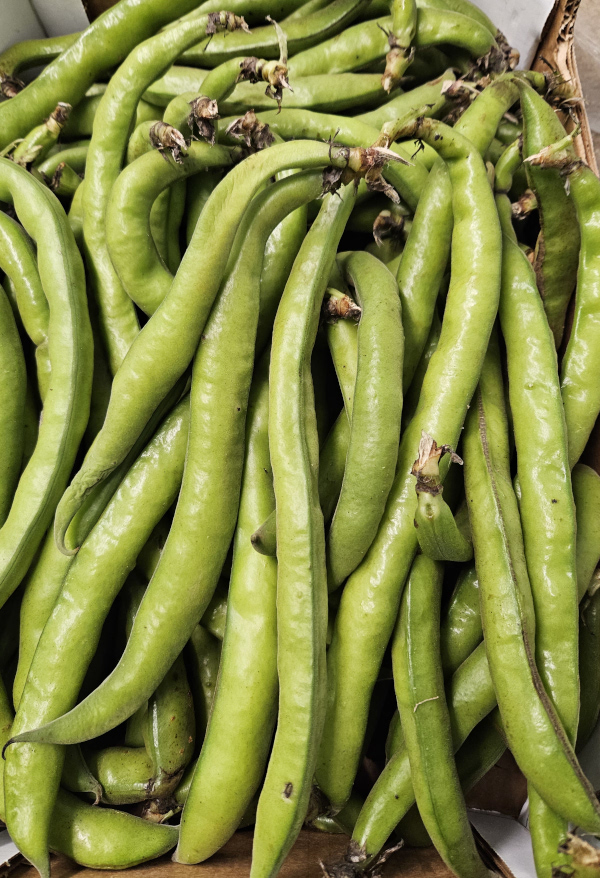 Seasonal British Vegetables and Salad Leaves May