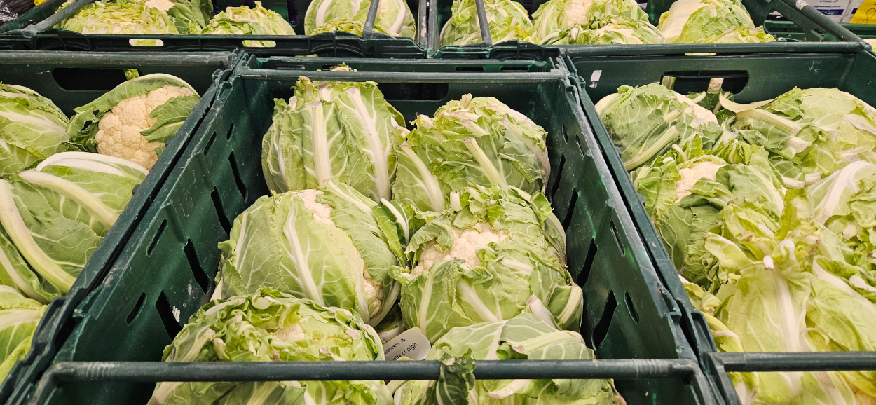 Large UK Cauliflowers