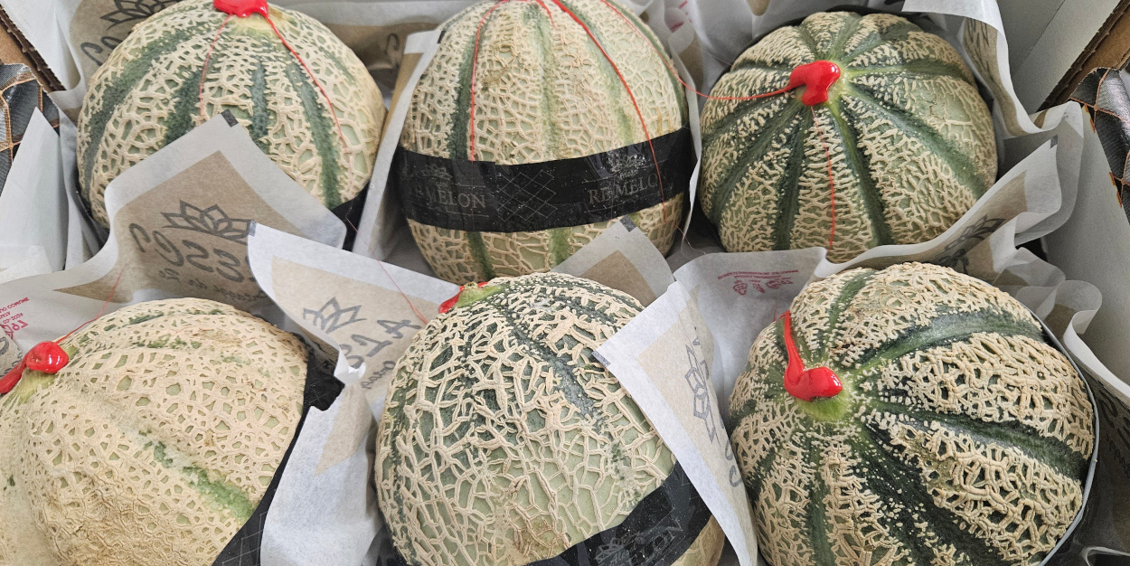 Italian Wax Tip Canteloupe Melons