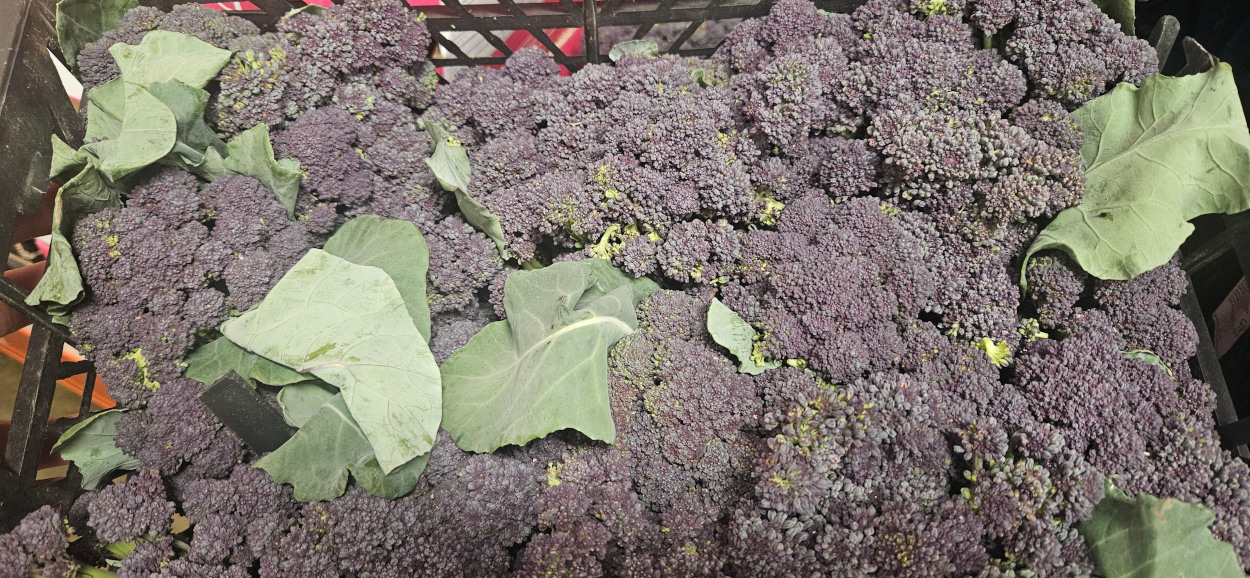Local Purple Sprouting