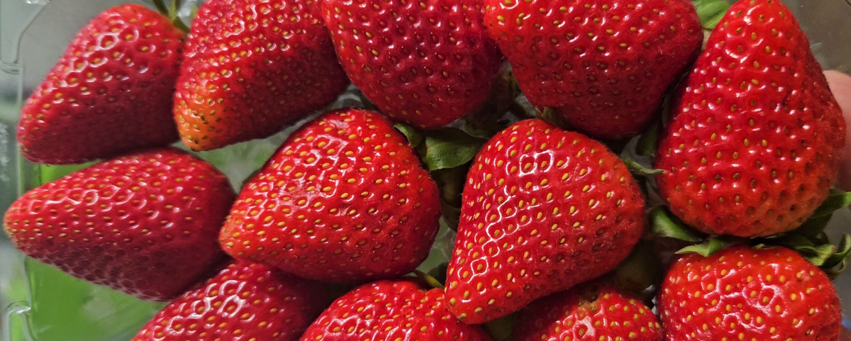 May Fruit Update