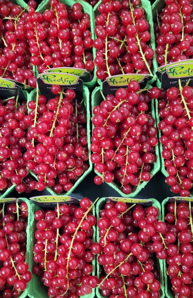 British Seasonal Fruits May