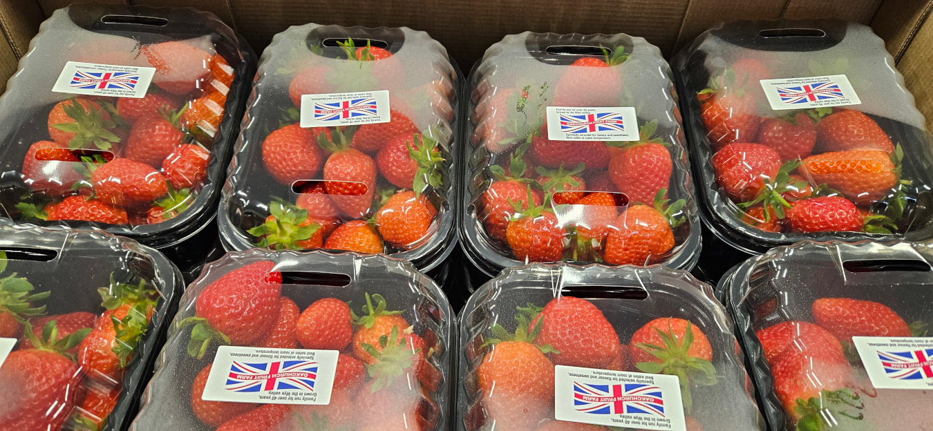 Oakchurch strawberries