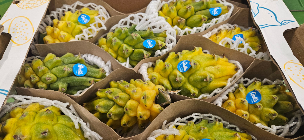 Yellow Dragonfruit