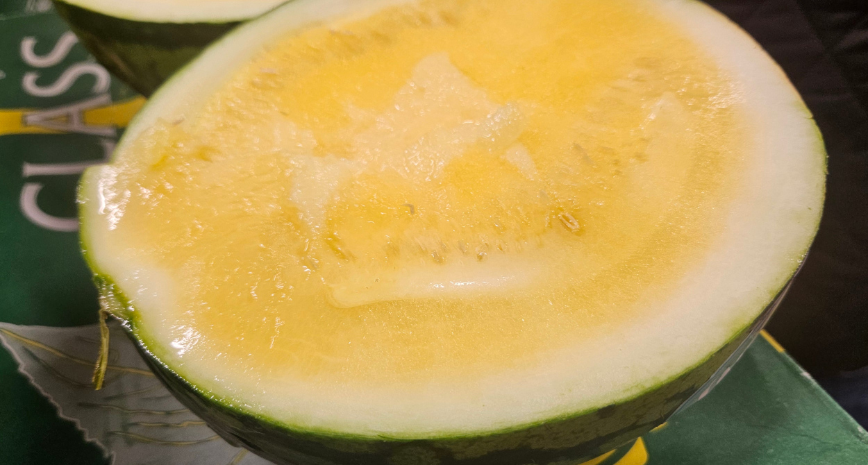 Yellow Watermelons
