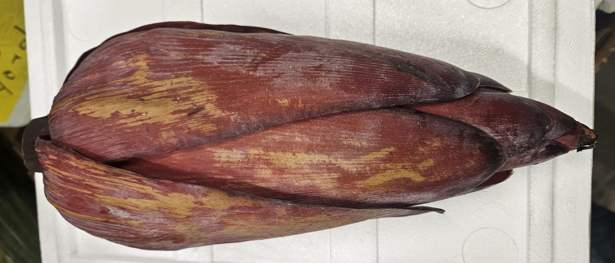 Banana Blossom