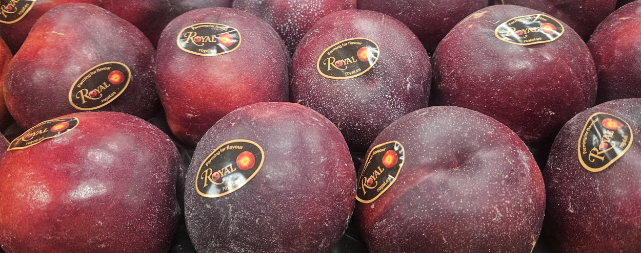 Blood Nectarines