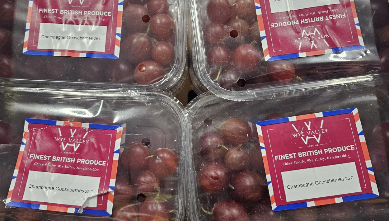 Champagne Gooseberries