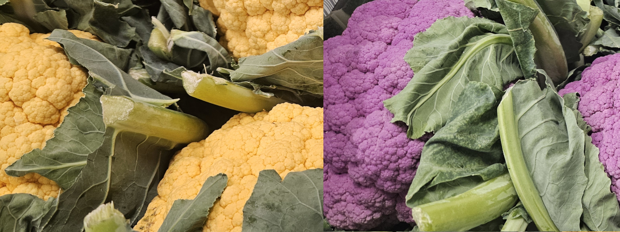 Coloured Cauliflower