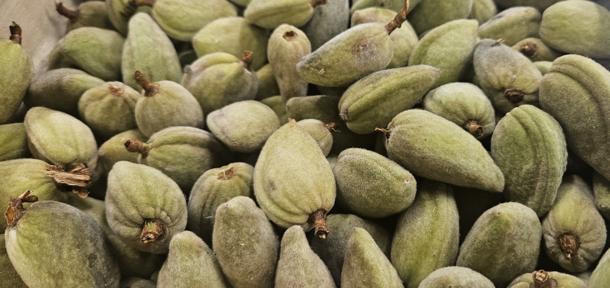 Fresh Almionds