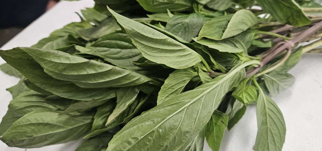 Thai Sweet Basil