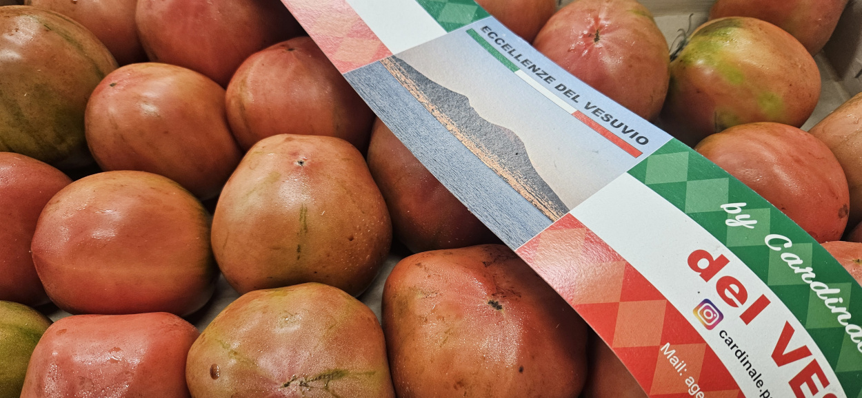Vesuvius Italian Tomato