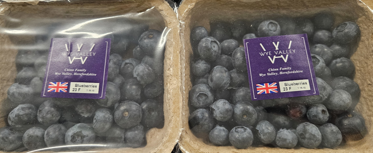 Wye Valley Blueberries