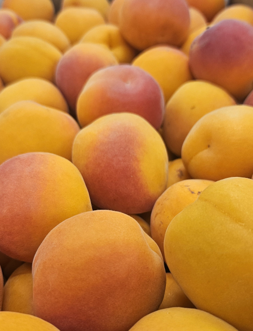 July's Seasonal British Fruits