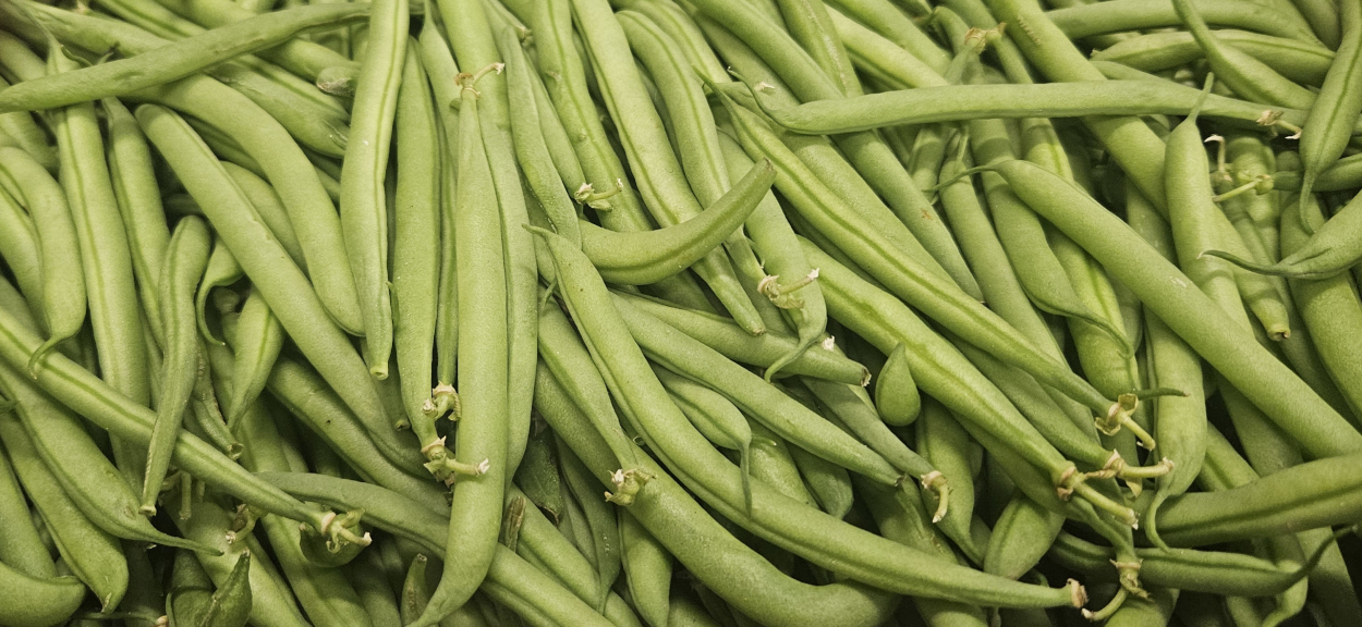 Bobby Beans