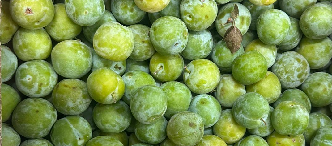 French Greengages