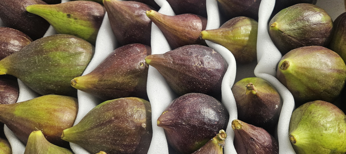 Italian Black Figs