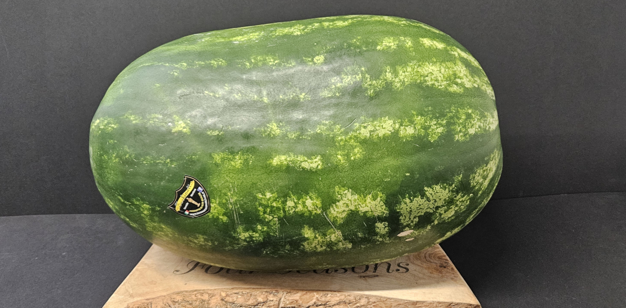 Italian King Watermelon