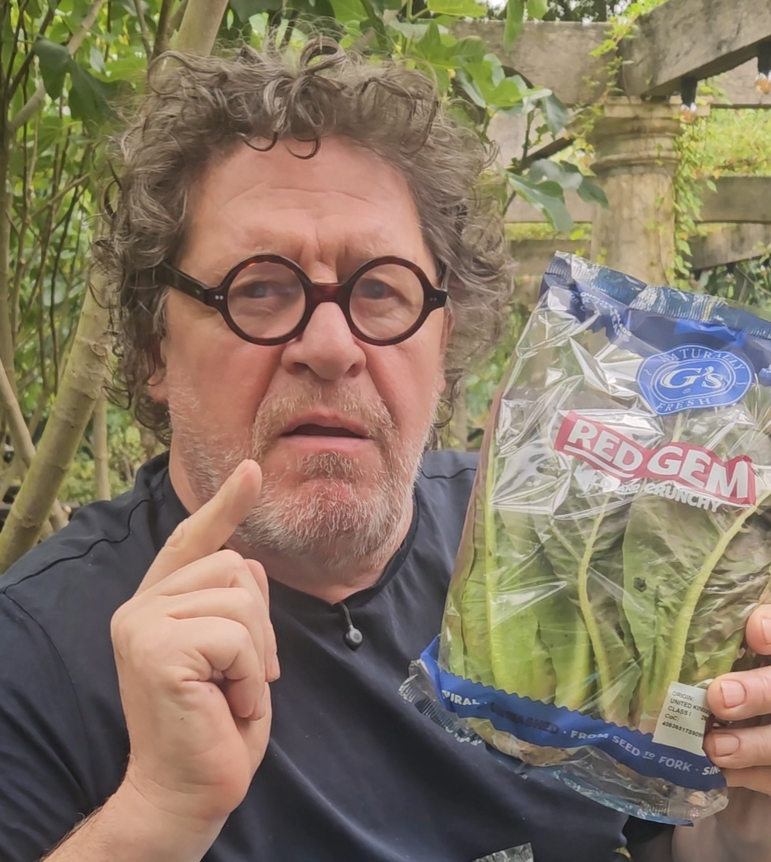 Red Gem Lettuce