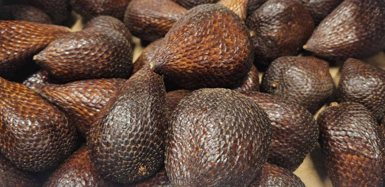 Snake Fruit