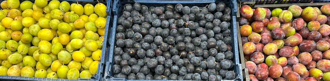 English Plums