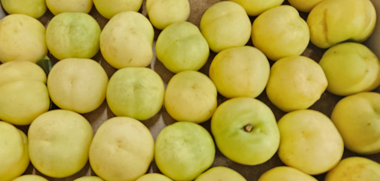 Italian White Peaches
