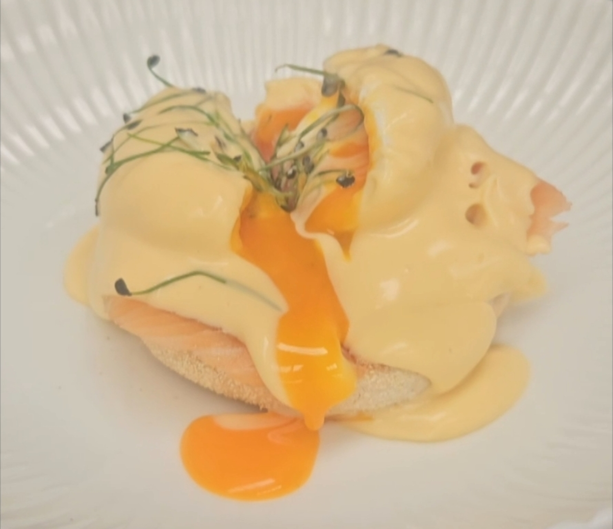 Lobster Hollandaise Sauce