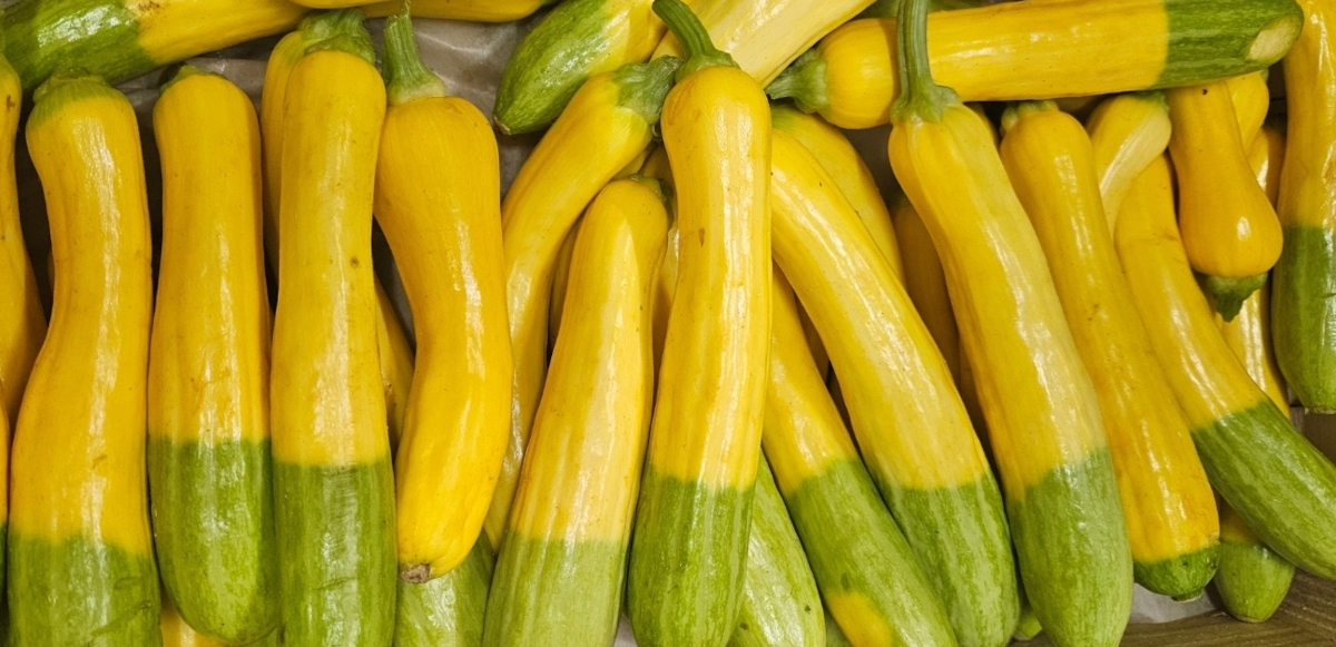 Zephyr Courgettes
