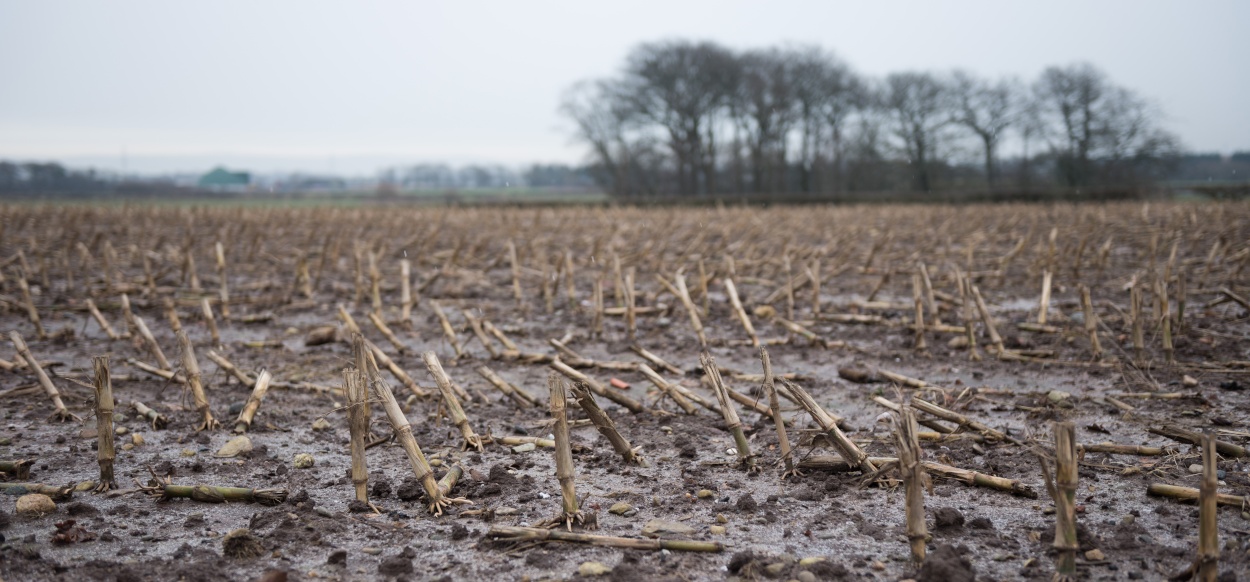 UK Weather Challenges