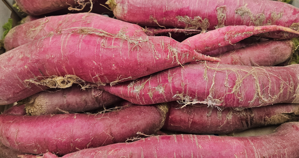 Red Mooli