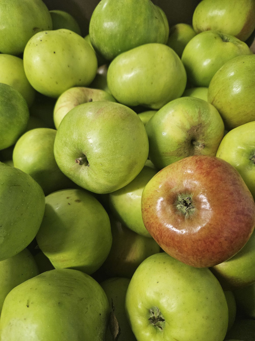 UK Grown Apples