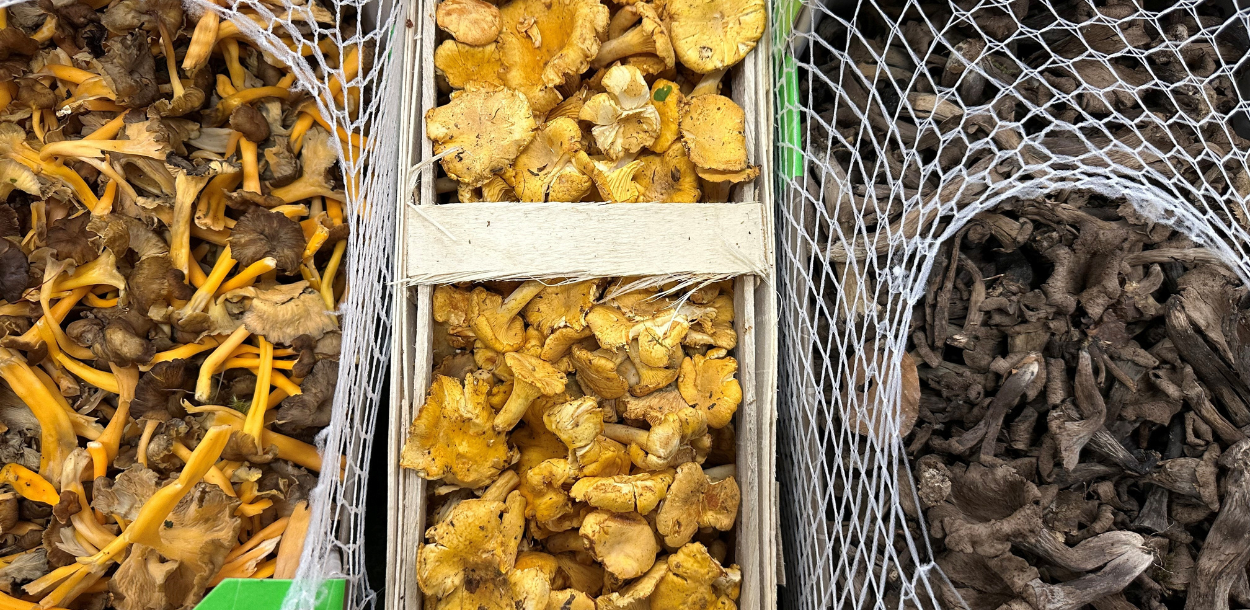 Mushrooms