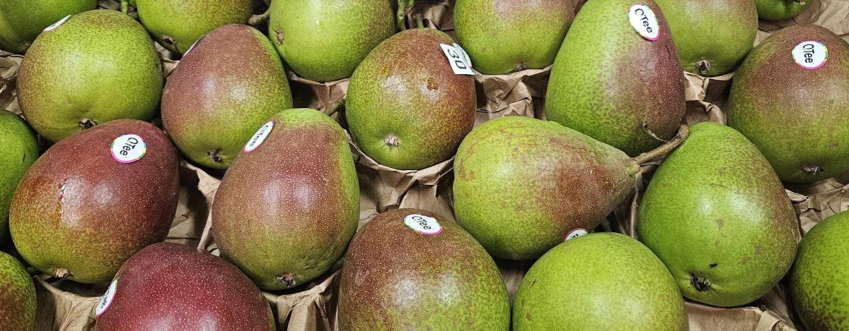 Seasonal British Fruits in September