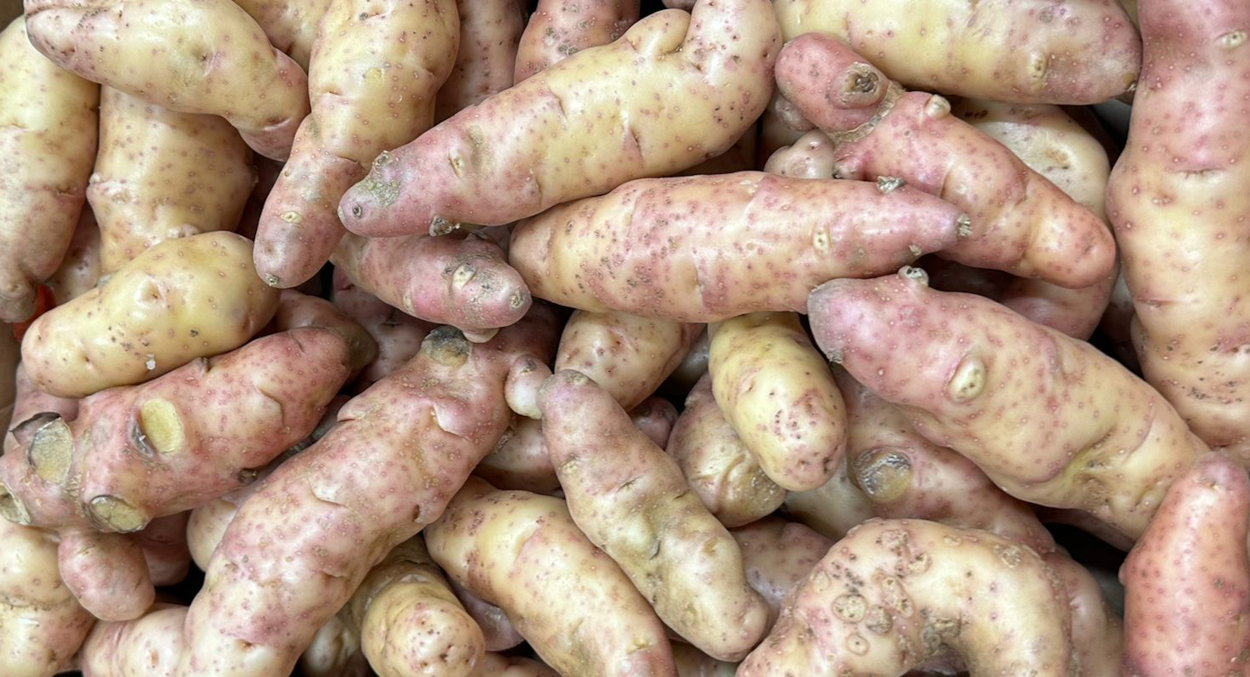 Pink Fir Potatoes