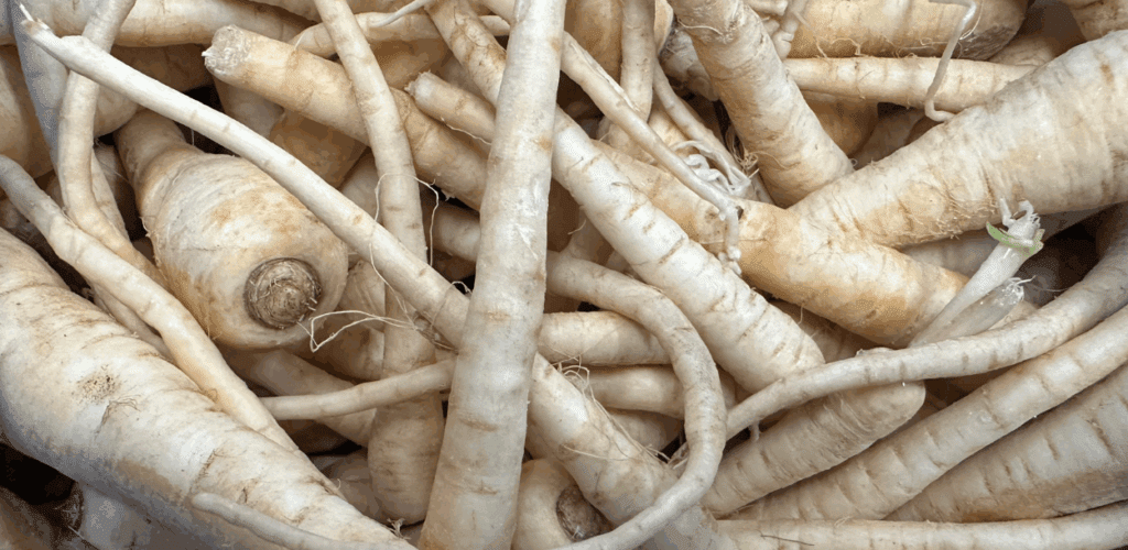 October’s Seasonal British Vegetables