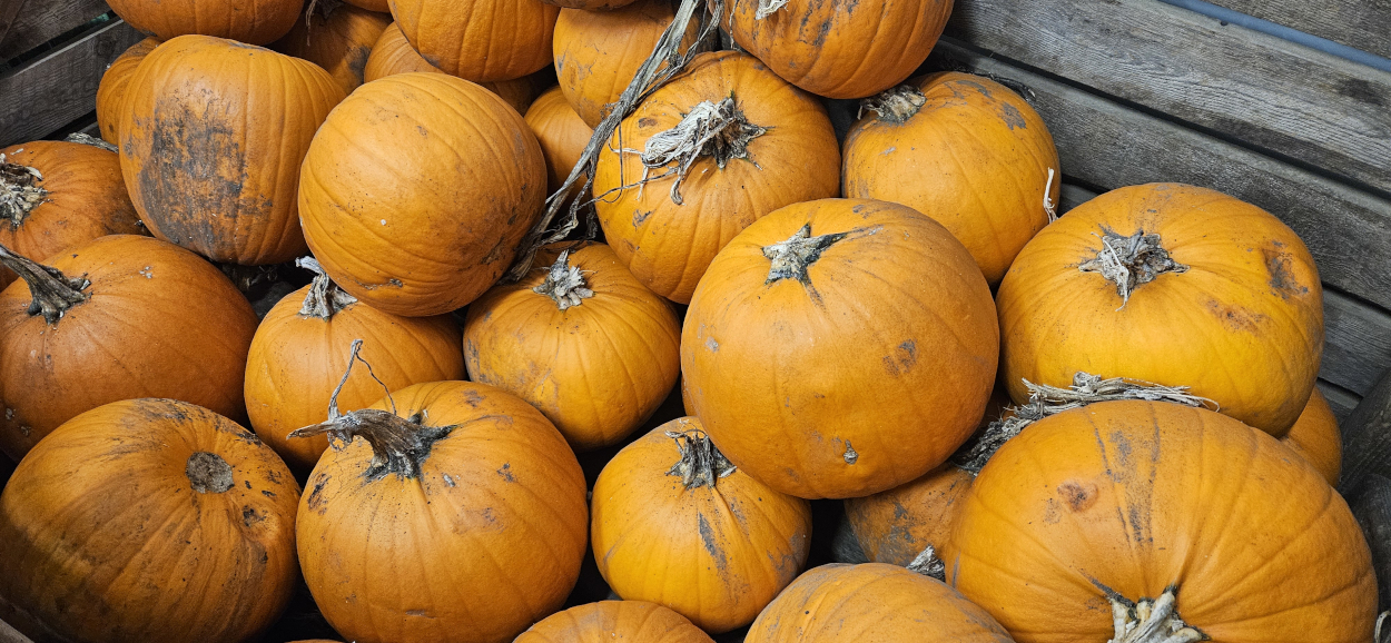 Carving Pumpkins