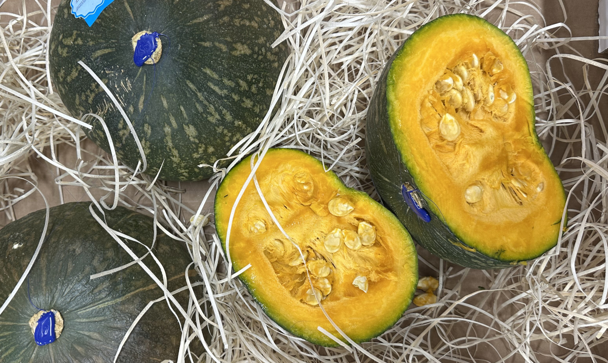 Delicata Squash