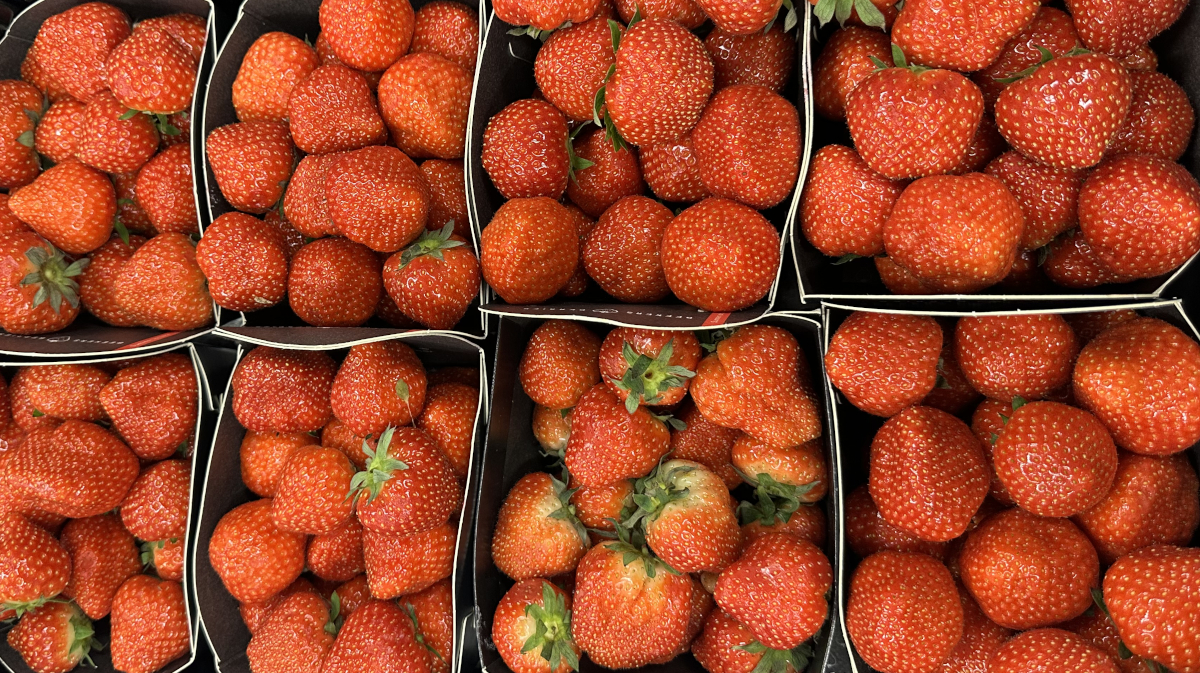Dutch Strawberries