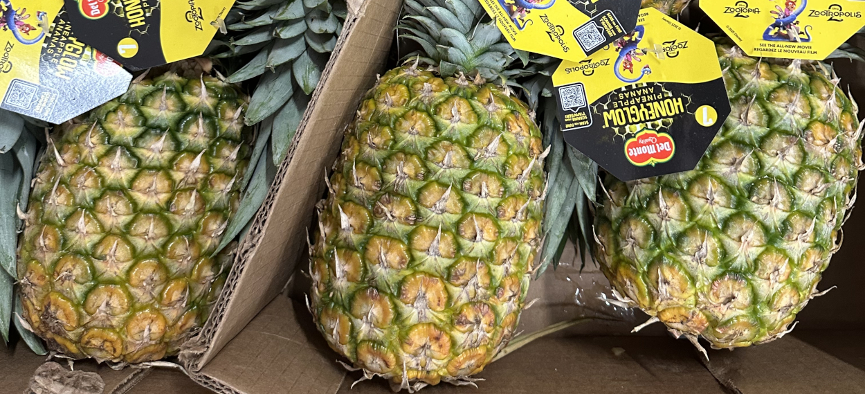 Honeyglow Pineapples