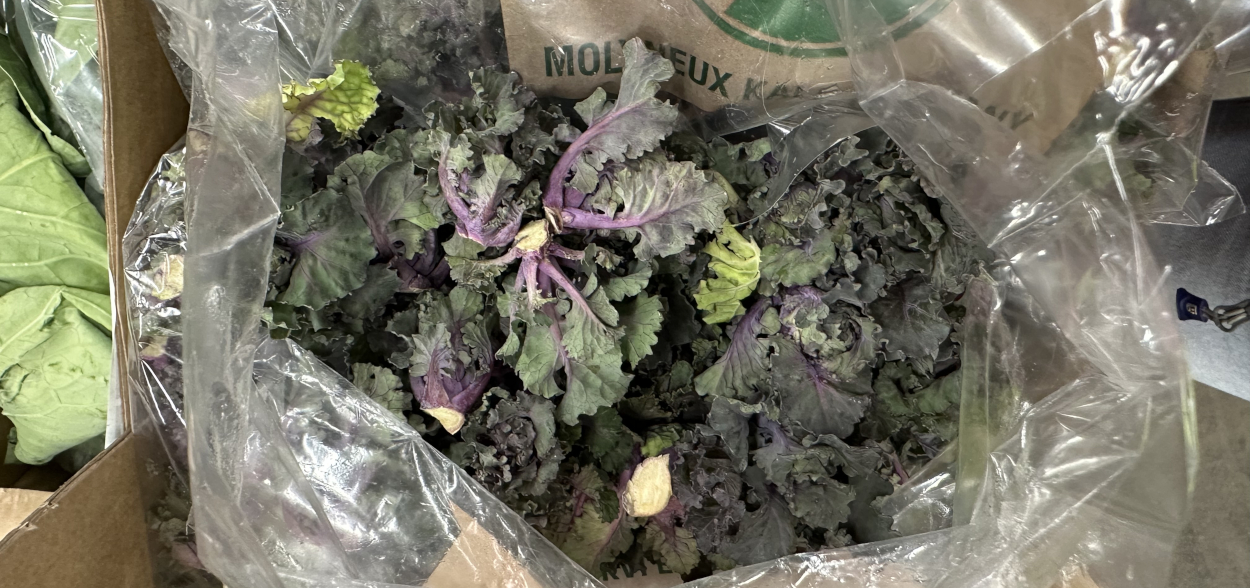 Kalettes
